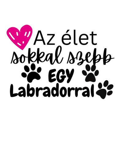 Az élet sokkal szebb egy Labradorral