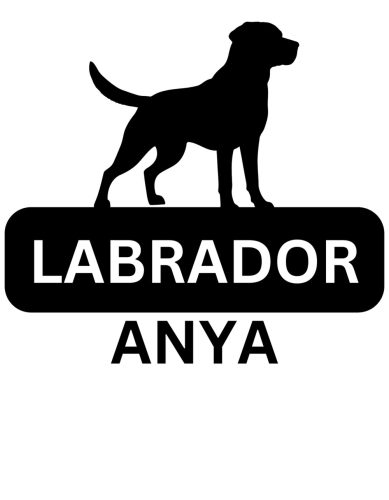 Labrador Anya