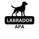 Labrador Apa