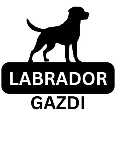 Labrador Gazdi