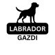 Labrador Gazdi