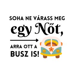 Soha ne várass meg egy nőt, arra ott a busz