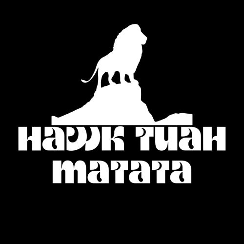 Hawk Tuah Matata