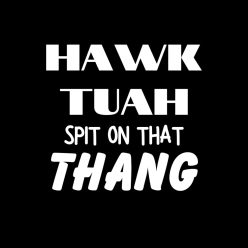 Hawk Tuah Spit On That Thang